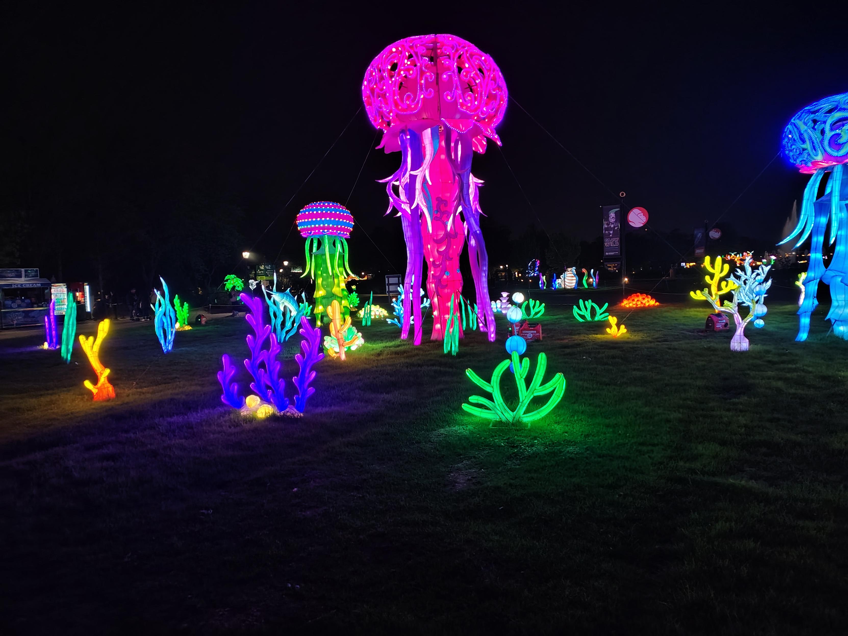 An underwater lantern garden depicting jelly fish and corals.
