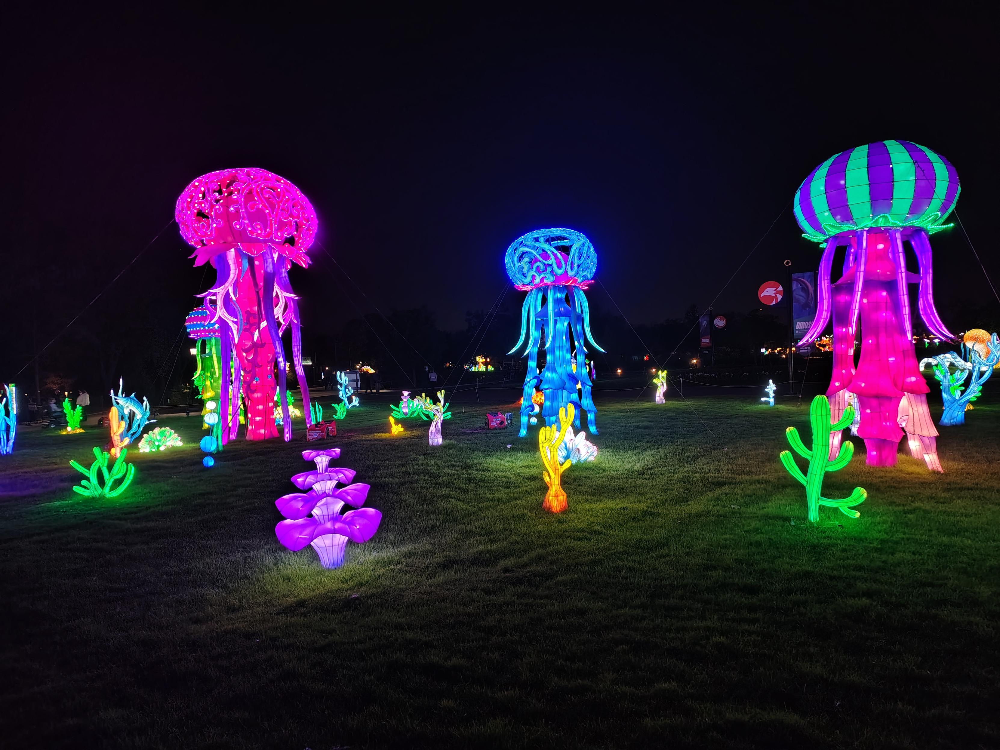 An underwater lantern garden depicting jelly fish and corals.